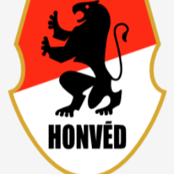 logo hunfencing_2024-10-19-20