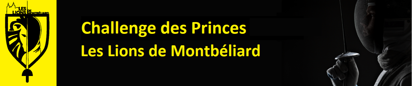 banner leslionsdemontbeliard_cdp26