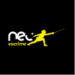 logo nec_escrime_nantes_cdf-epee-veterans